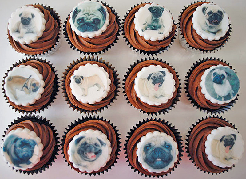 Pug cupcakes