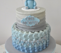 Baby one month cake