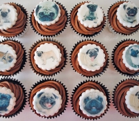 Pug cupcakes