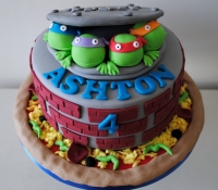 TMNT Ninja turtle birthday cake