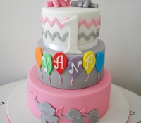 Yanas first birthday cake