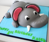 Childrens elephant birthday cake