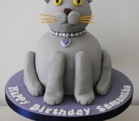 cat-birthday-cake