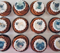 pug-dog-cupcakes